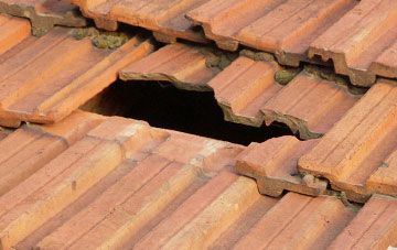 roof repair Bridford, Devon